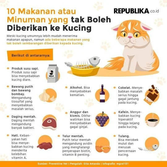 Makanan yang tidak boleh dimakan kucing