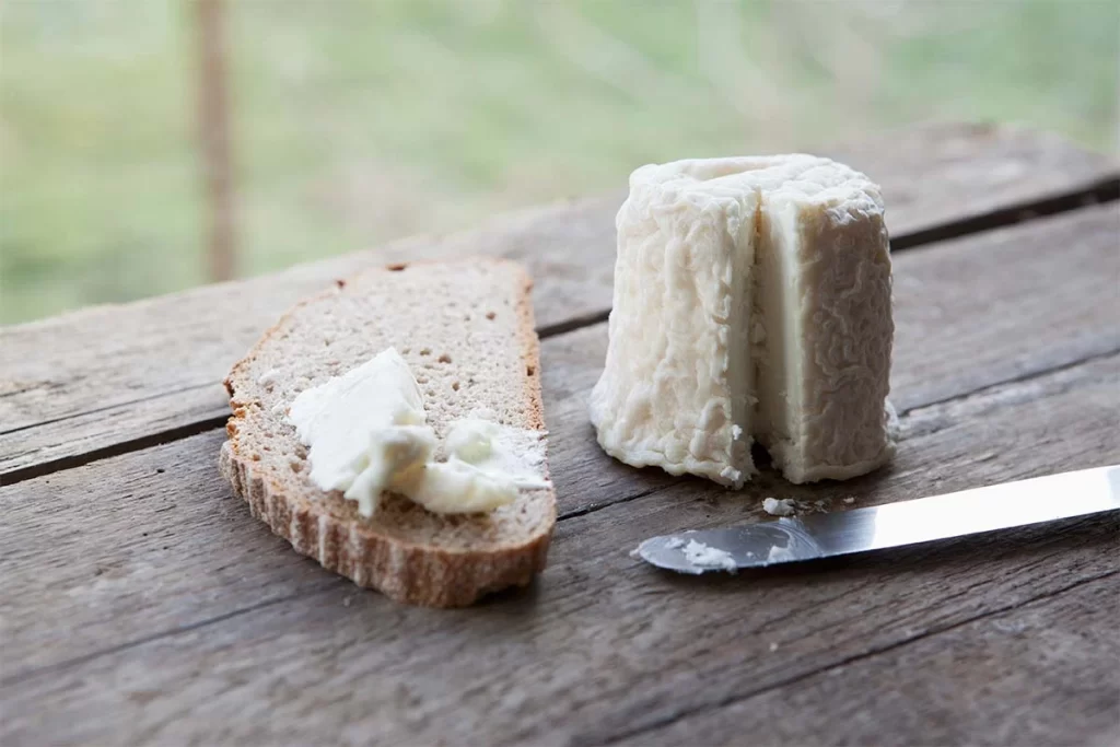 Qualities of Serbian Donkey Cheese