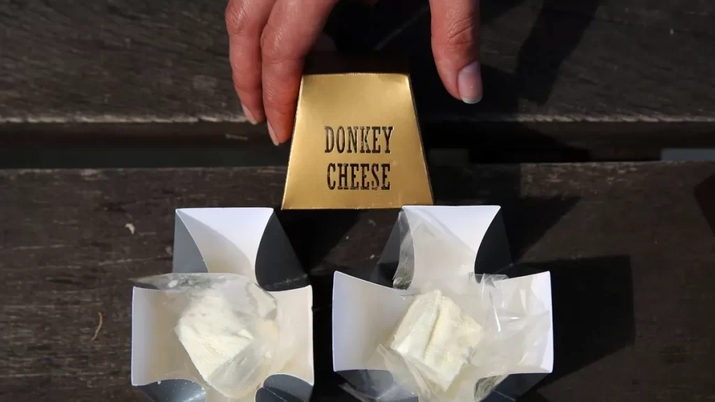 The Production Process of Pule Serbian Donkey Cheese