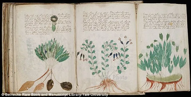 Manuskrip Voynich