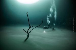 Cenote Angelita: Gua Bawah Laut dengan Sungai di Dasarnya