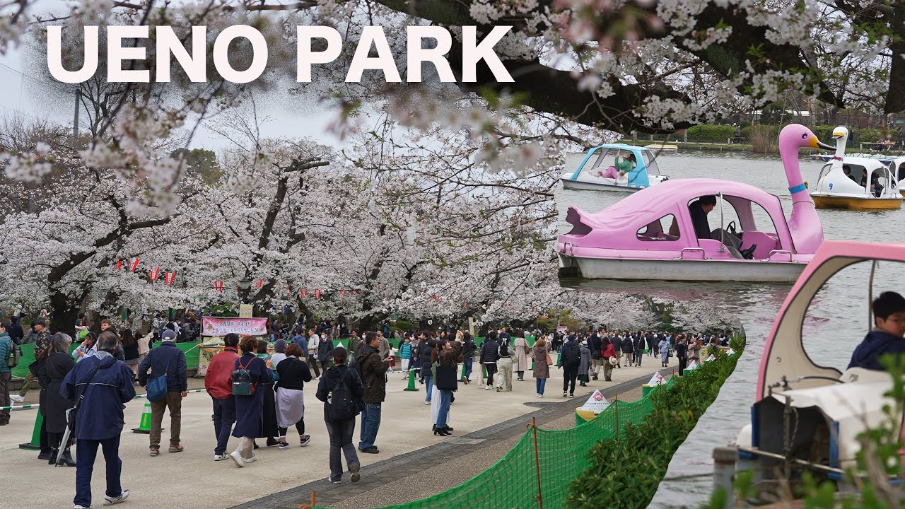 Ueno Park