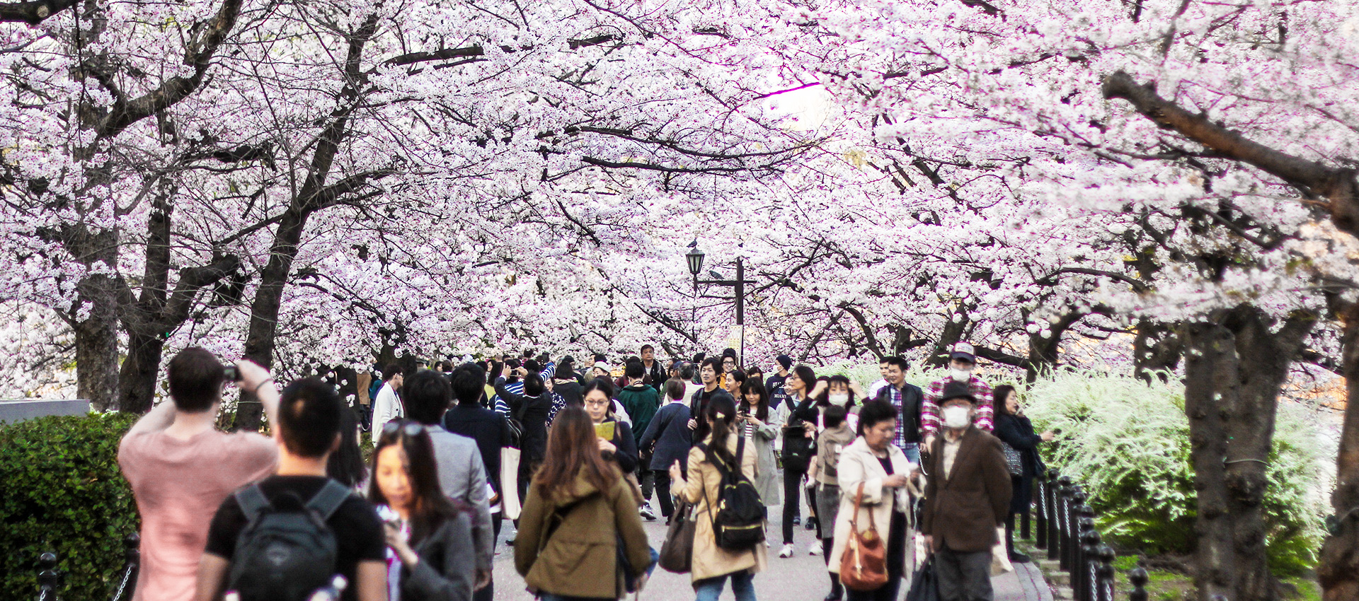 Ueno Park