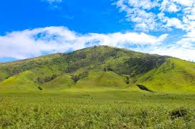 Bukit Teletubbies