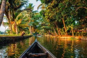 Kerala Backwaters: Jelajahi Wisata Air India dan dingdongtogel
