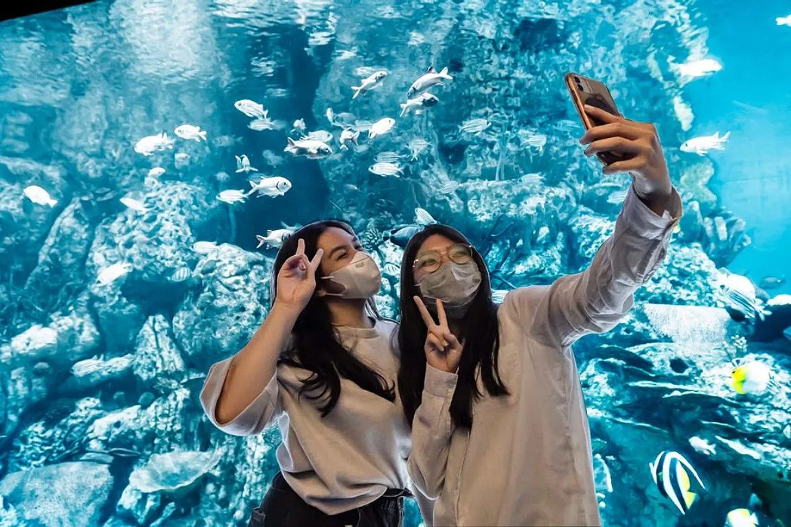 Jakarta Aquarium Safari