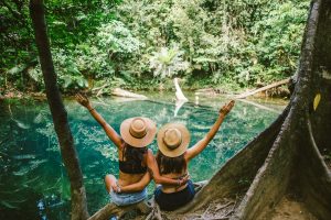 Daintree Rainforest: Keajaiban Alam Tertua di Dunia