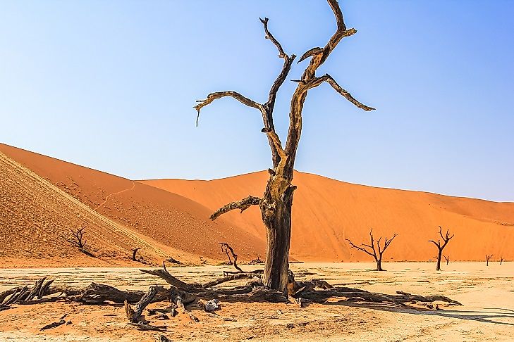 Deadvlei White: Keajaiban Alam yang Memukau di Namibia