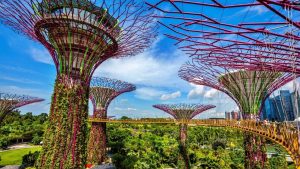 Supertree Grove: Pengalaman Tak Terlupakan di Singapura