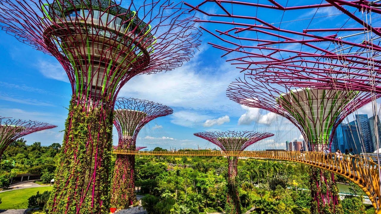 Supertree Grove: Menyelami Keindahan Futuristik