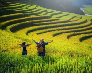 Sapa Terraces: Eksplorasi Keajaiban Alam
