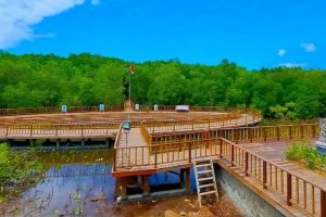 Menyusuri Keindahan Alam Lewat Tracking Mangrove Bali yang Menenangkan Jonitogel Login
