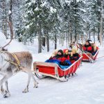 Lapland Reindeer Safaris: Serunya Jelajah Negeri Salju!
