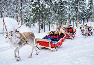 Lapland Reindeer Safaris: Serunya Jelajah Negeri Salju!