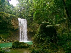 Dominica Rainforests: Surga Tersembunyi untuk Pecinta Alam