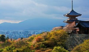 Kyoto Temples: Serunya Menjelajah Kuil Ikonik Jepang