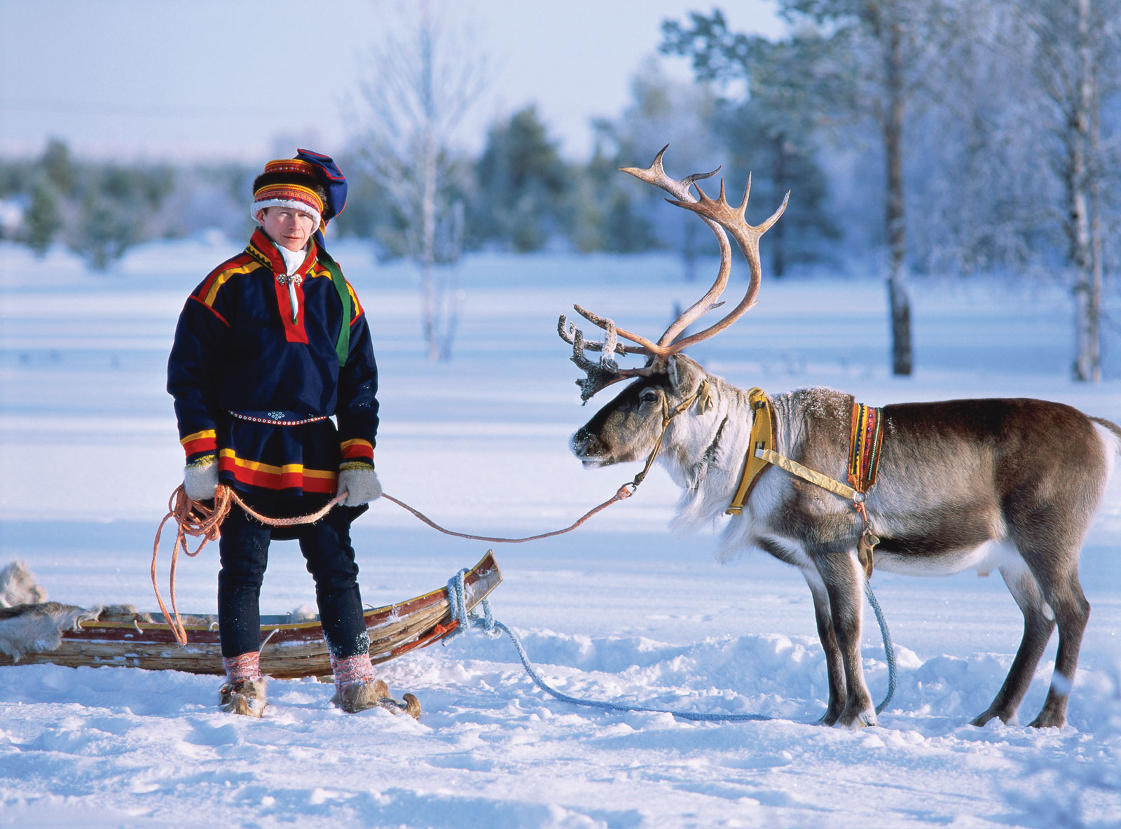 Lapland Reindeer Safaris