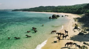 Pulau Sumba: Eksotisme Alami dan Budaya Unik dari Indrabet