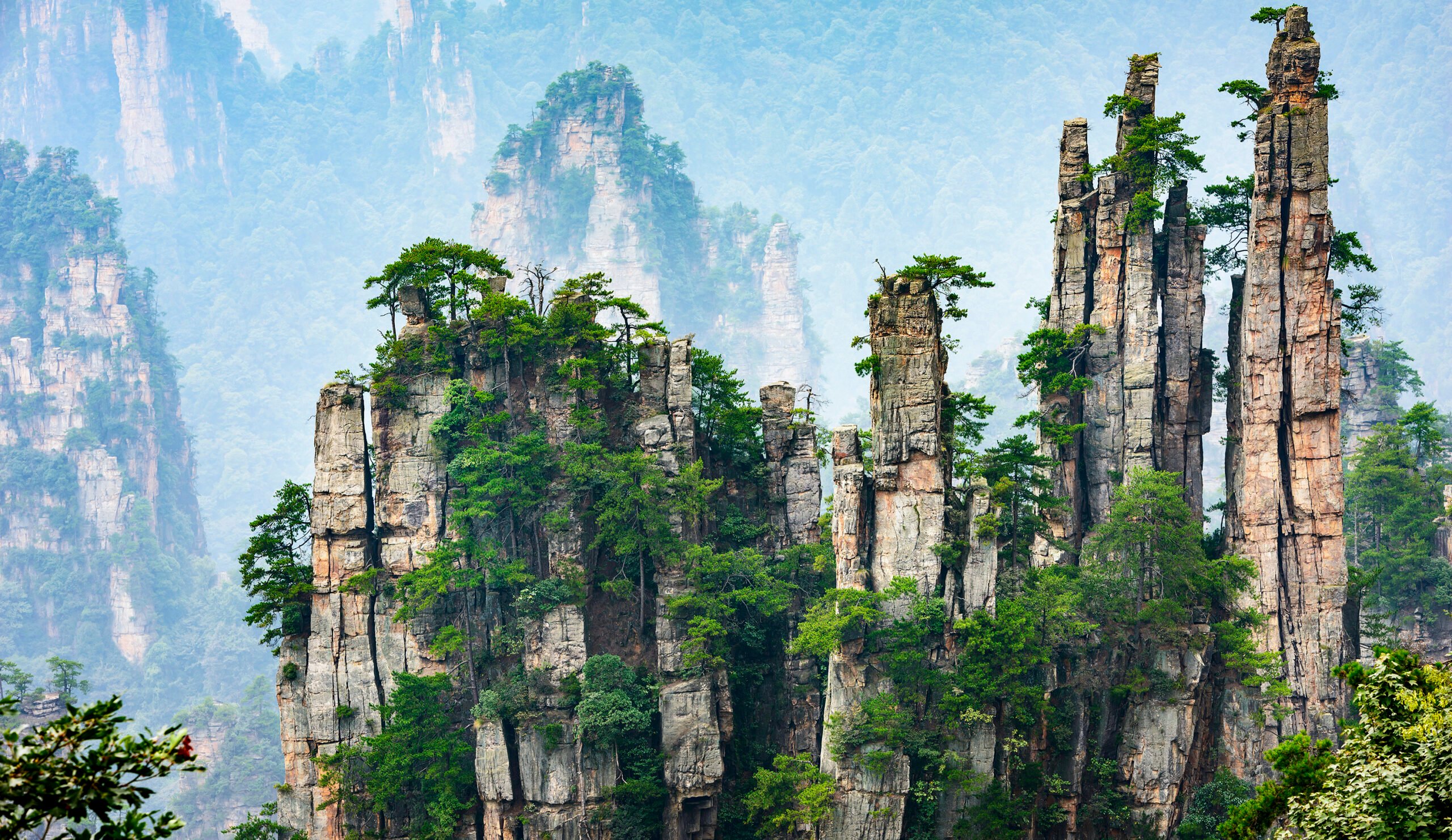 Zhangjiajie National Forest