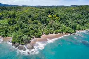 Menyusuri Keajaiban Alam di Corcovado National Park: Surga Tersembunyi di Indrabet