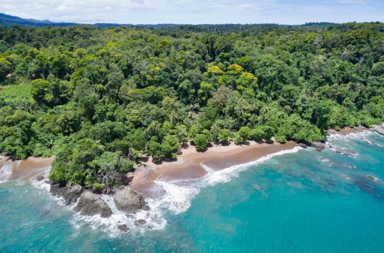 Menyusuri Keajaiban Alam di Corcovado National Park: Surga Tersembunyi di Indrabet