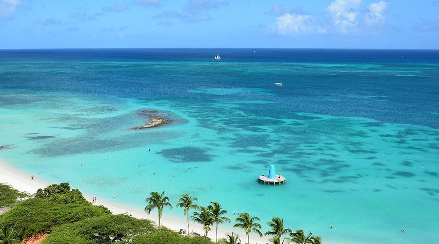 Eagle Beach dan Pohon Divi-Divi, Ikon Unik di Aruba