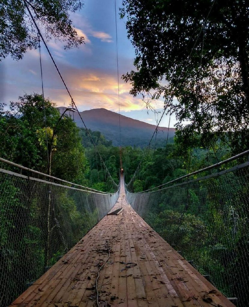 Situ Gunung Bridge, Petualangan di Tengah Pegunungan
