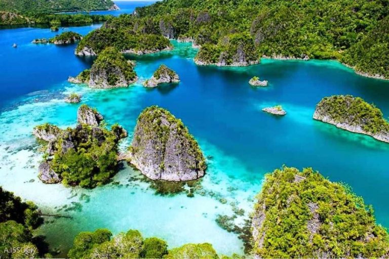 Teluk Cendrawasih: Eksotisme Surga Laut Papua