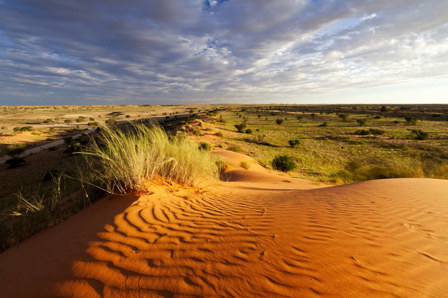 North Africa Deserts