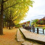 Nami Island: Surga Mini di Korea Selatan yang Punya Cerita Baru