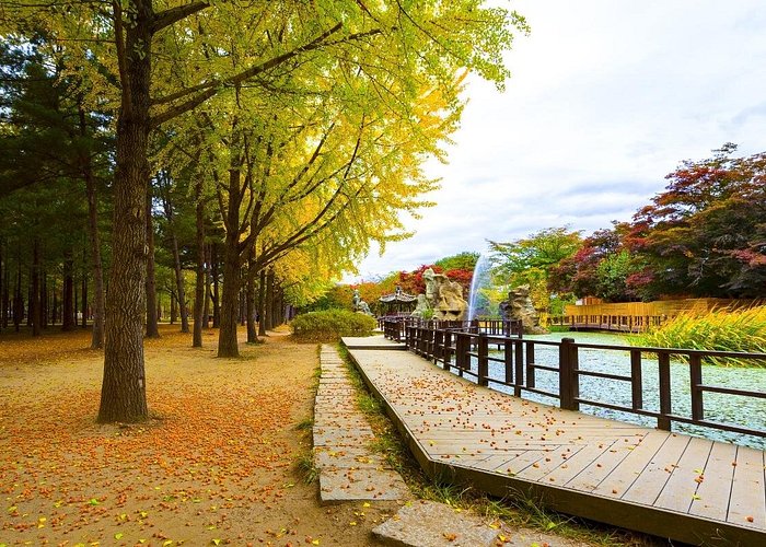 Nami Island: Surga Mini di Korea Selatan yang Punya Cerita Baru