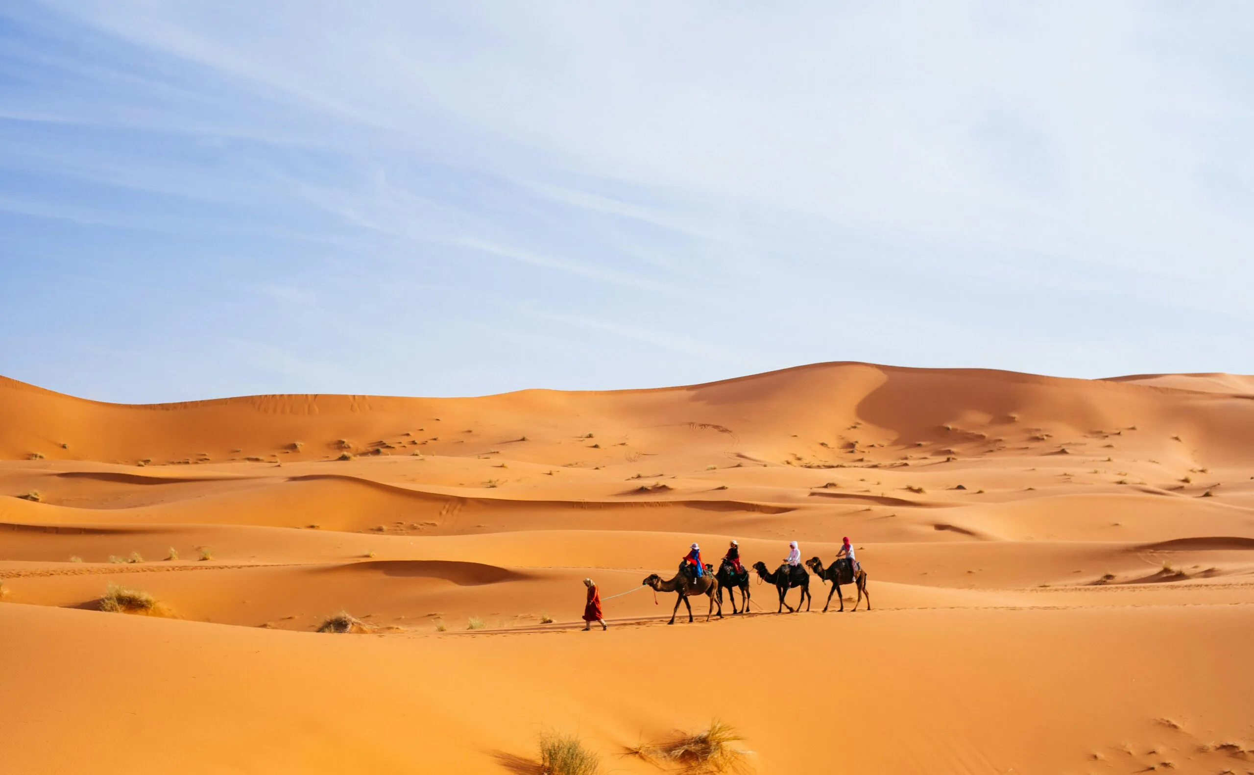 North Africa Deserts