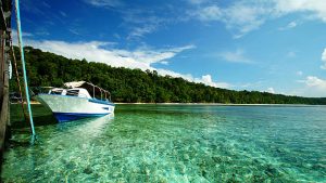 Danau Kakaban: Keindahan Danau Bosjoko Penuh Ubur-Ubur