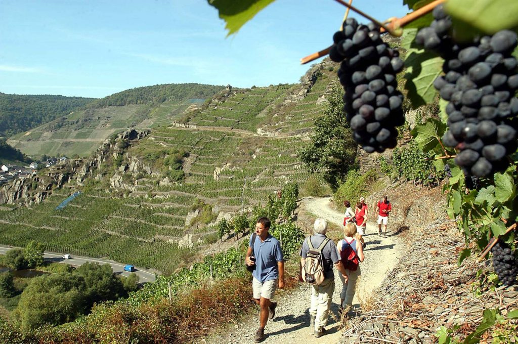 Ahr Valley: Destinasi Wine & Wisata Anti-Mainstream di Jerman