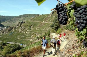 Ahr Valley: Destinasi Wine & Wisata Anti-Mainstream di Jerman